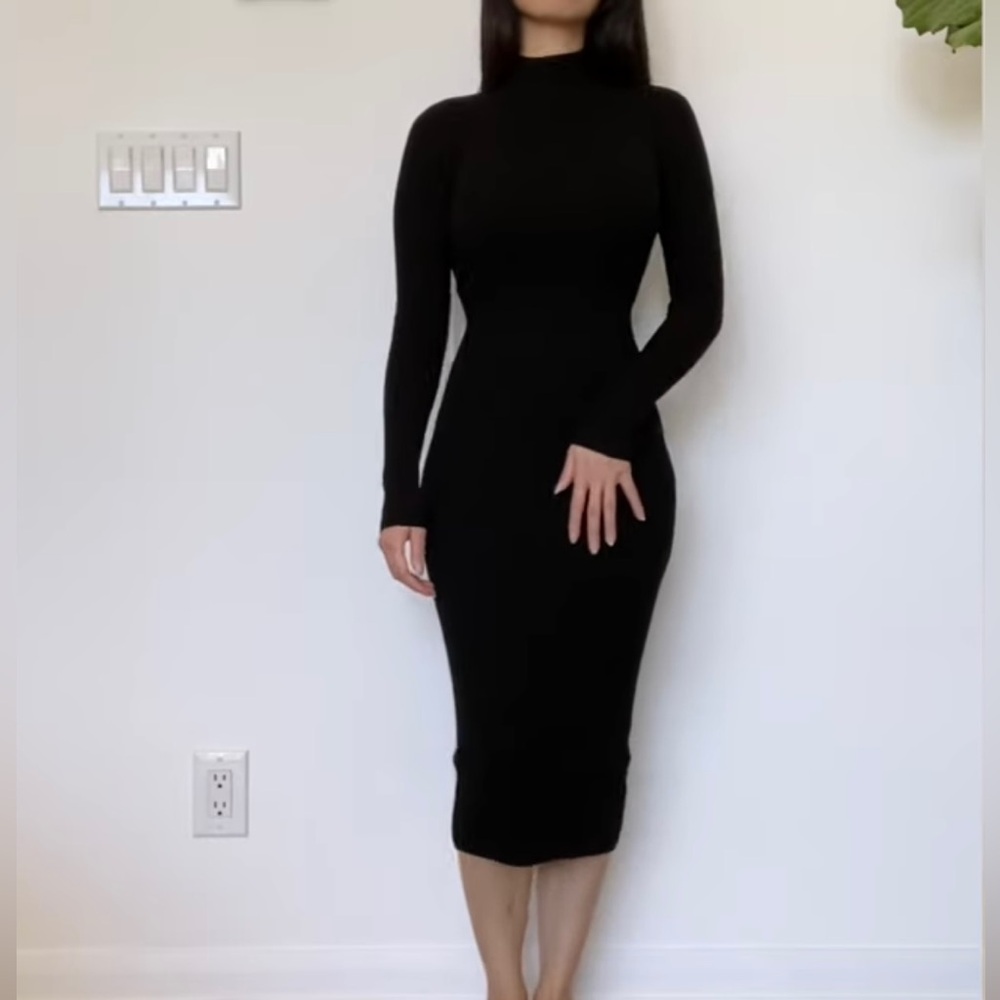 Aritzia Wilfred pinot long sleeve dress in black